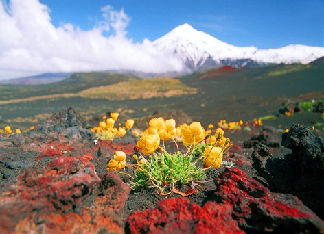 CRUCEROS CIRCULO POLAR ARTICO CRUCEROS ARTICO RUSO CRUCEROS SIBERIA CRUCEROS YAKUTIA CRUCEROS RIO LENA CRUCEROS NORTE DE RUSIA OFERTA CRUCEROS EXPLORACION RUSIA